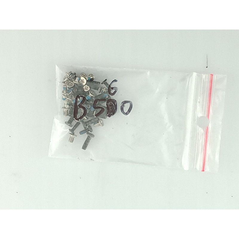 Set of screws for Lenovo B560 laptop